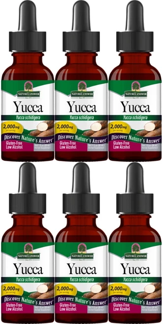 네이처스앤서 고흡수 유카 2000mg 액상 액체, 6팩, 30ml - 쿠팡