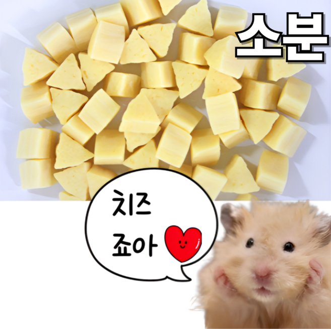 (best) 햄스터 마루칸 치즈 간식 이갈이 소동물 기니피그 고슴도치, 20g, 1개