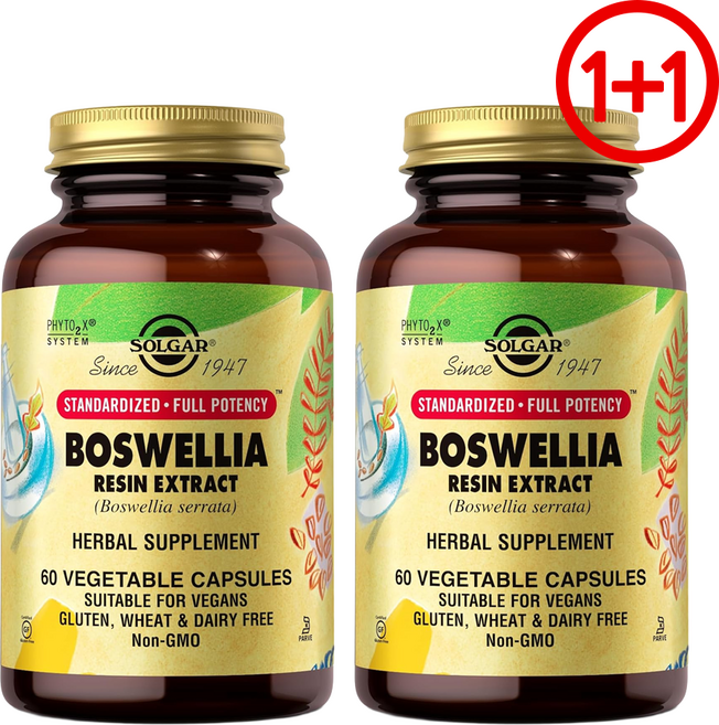 솔가 보스웰리아 레진 수지 추출물 60캡슐 2개, 60정