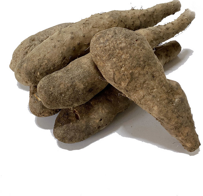 보람농장 산마 알뜰 5kg, 1박스