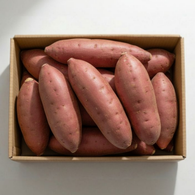 국내산 세척 고구마 해남 꿀고구마 대왕, 1박스, 10kg