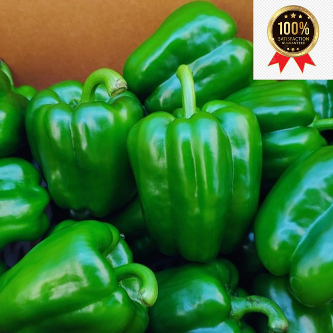 국내상 실속형 못난이 특상 청피망, 1개, 못난이 청피망 5kg