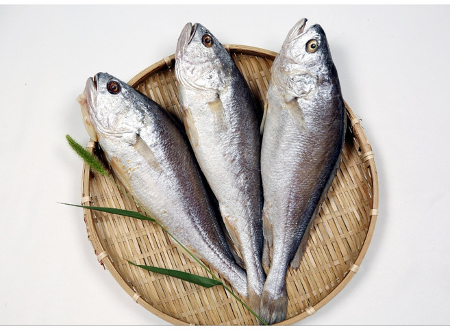 고흥 장모님 반건조 생선 조기 능성어 병어 양태 민어 우럭 서대 돔 갑오징어, 양태-2미