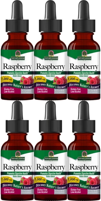 네이처스앤서 고흡수 라즈베리 1000mg 액상 액체, 30ml, 6개 - 쿠팡