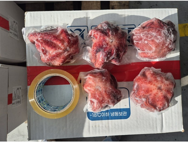 자숙문어 2/300g 30~40미 10kg 일반, 1박스, 200~300g