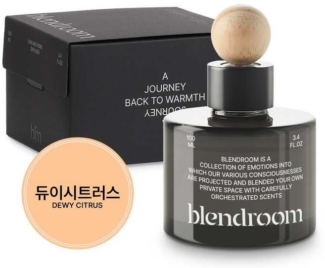 블랜드룸 차량용 디퓨저 100ml, 듀이시트러스, 1개