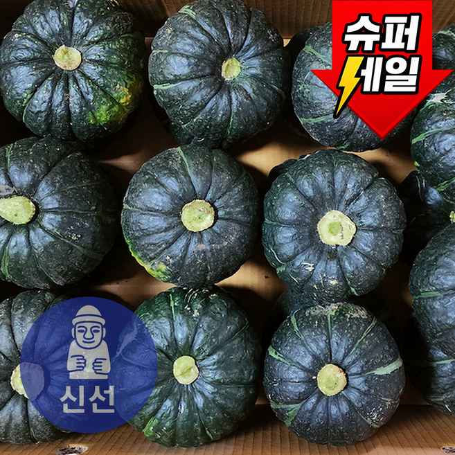 [제주신선상회] 미니 밤호박 보우짱 산지직송, 1개, 신선 10kg