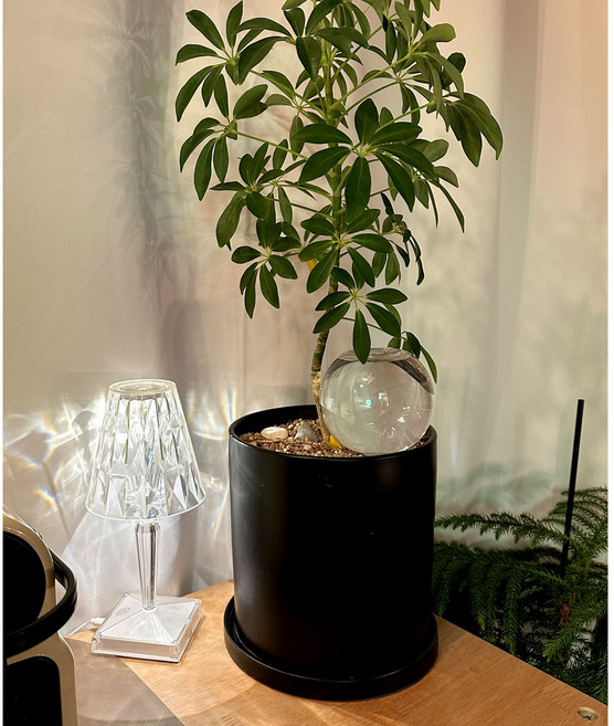 화분 자동급수기 L사이즈 1개, 투명