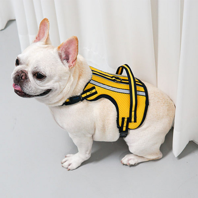 RealPet 강아지 서포트 3M 하네스, Yellow, 1개