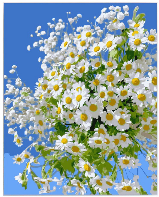 호인트 diy 명화그리기 유화 피포페인팅 컬러링키트 대형 40x50cm, 1개, 002데이지