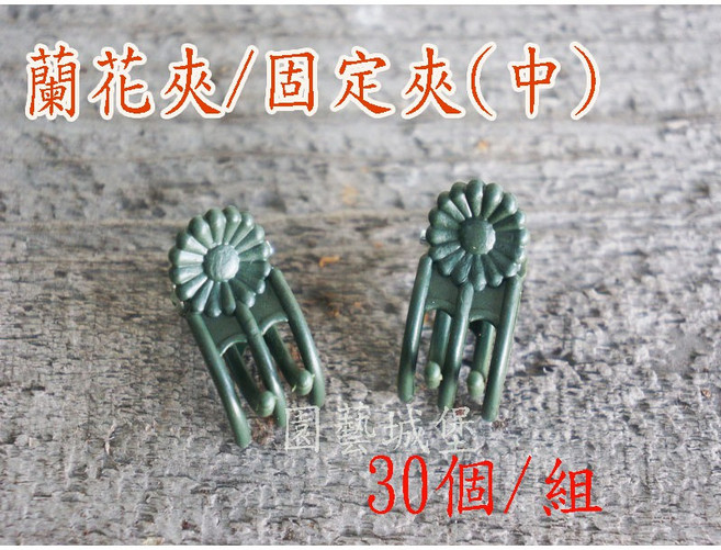 【園藝城堡】蘭花夾(中) 花莖固定夾 嫁接夾 園藝用品, 1個