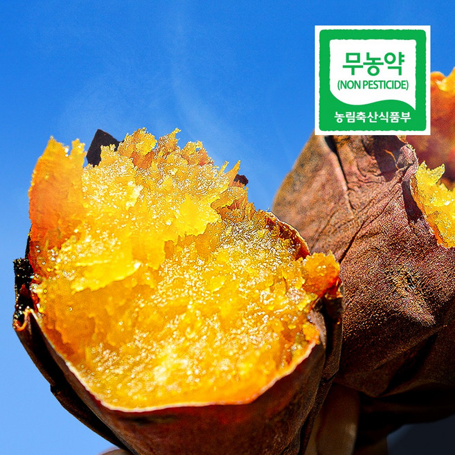해남 꿀고구마 무농약 세척 [우월한농수산], 1박스, 특상 5kg