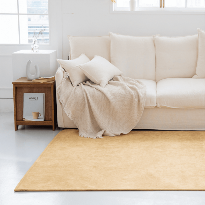 체고케어 먼지없는 셔닐 방수 러그 사계절 카페트