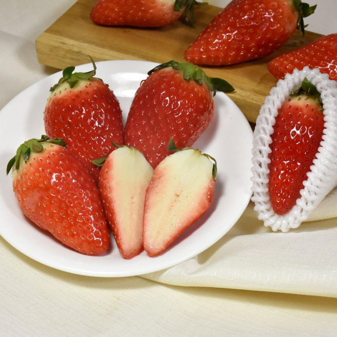 [오픈초특가] 논산 킹스베리 산지직송 달달딸기 품질좋은 겨울철 왕 딸기 고당도, 1박스, 킹스베리 딸기 20구 [특] 800g내외