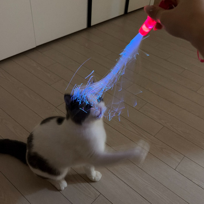 고양이 광섬유 스파클 낚싯대 장난감 CB-59, 1개, 핑크