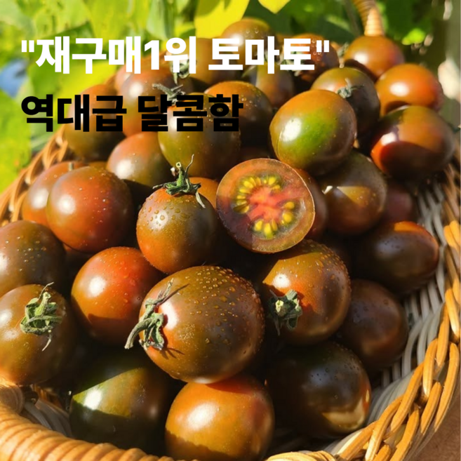 재구매1위 산지직송 흑대추방울토마토 고당도 특품, 1박스, 5kg