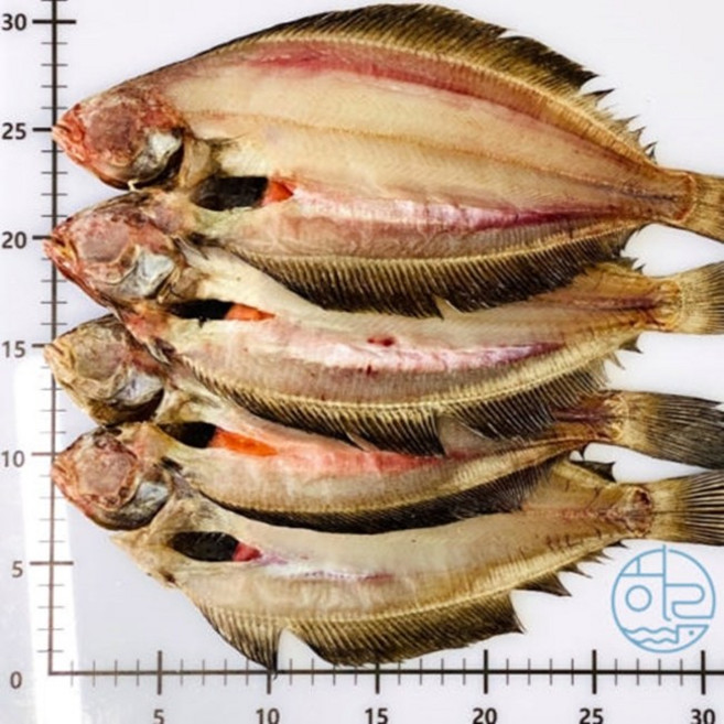 당일조업 감포 반건조생선 기름가자미 미주구리 물가자미 가자미 식해 구이 조림, 1개, 감포 반건조 기름가자미(미주구리)/왕특대Size3~4미