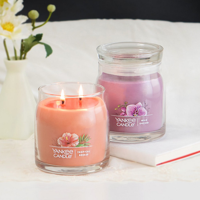 양키캔들 시그니처 미디엄 향초 2종 세트, 08 와일드 오키드, 02 베이사이드 시더, 1개