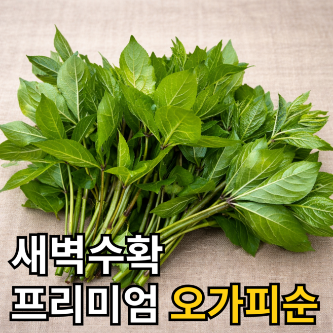 [100%자연산] 제철한정 봄나물 국산 오가피순, 1박스, 2kg