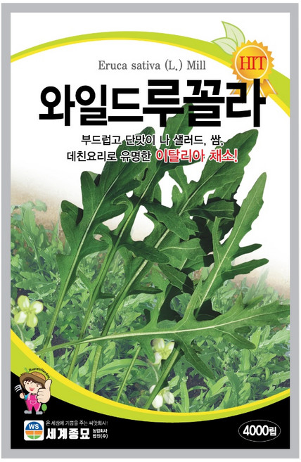 스위트 타이 바질 와일드루꼴라 씨앗, 1개