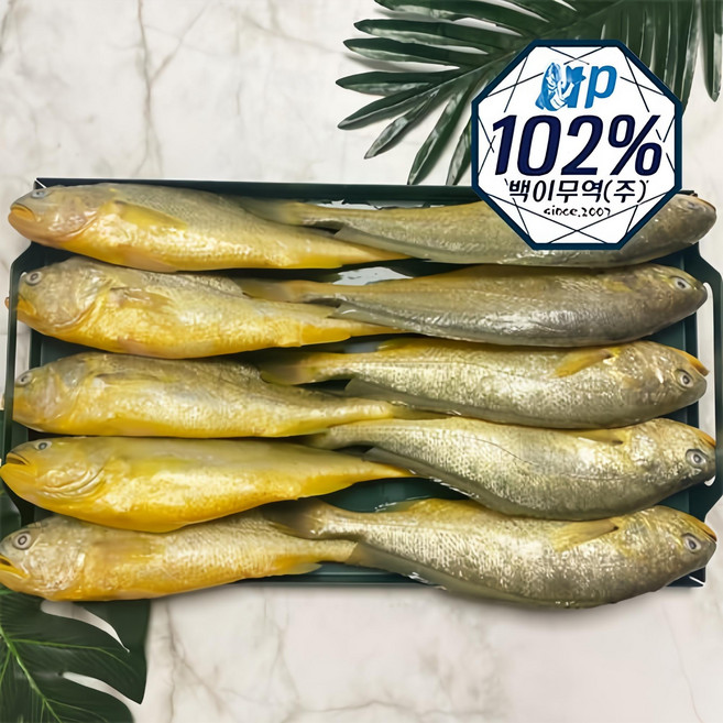 황금물고기 부세조기(반찬 제수용) 3.4kg, 3.4kg 중(19-20마리), 1개