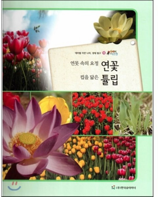 올빼미 자연관찰 16 연못 속의 요정 연꽃 컵을 닮은 튤립 (식물), 한국슈타이너