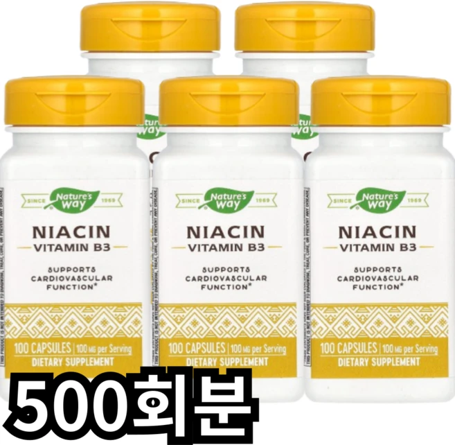 네이쳐스웨이 니아신 100mg 캡슐, 500회분, 1개 - 쿠팡