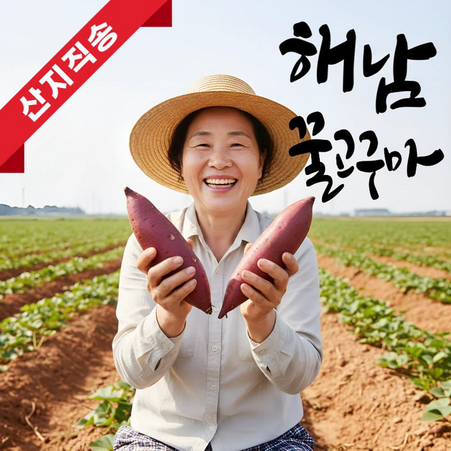 더맛곳간 국내산 꿀고구마 베니하루카 해남 고구마 햇고구마, 1개, 3kg 대