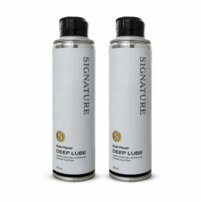 불스원 불스파워 엔진코팅제 시그니처 딥 루브, 2개, 300ml