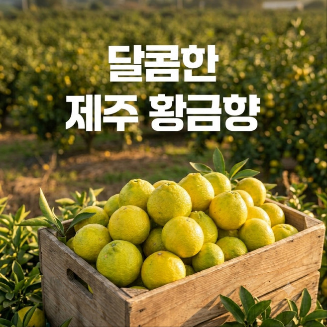 [한정특가] 제주 황금향 (가정용/선물용), 1개, 가정용 2kg (7-15과)