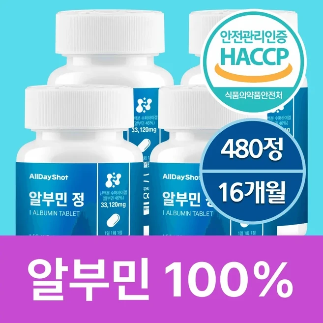 올데이샷 알부민 100%정품 HACCP인증, 4개, 120정