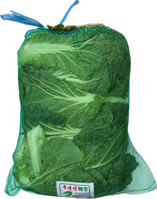 클릭마켓 국내산 강원도 배추 특품, 1개, 9kg