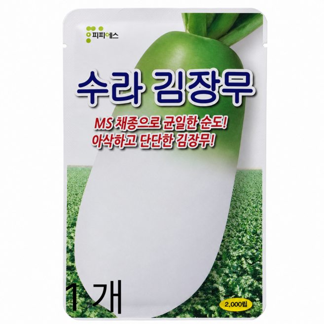 피피에스 수라 김장무 씨앗 2000립 아삭한 가을무 김장채소 텃밭 종자, 1개