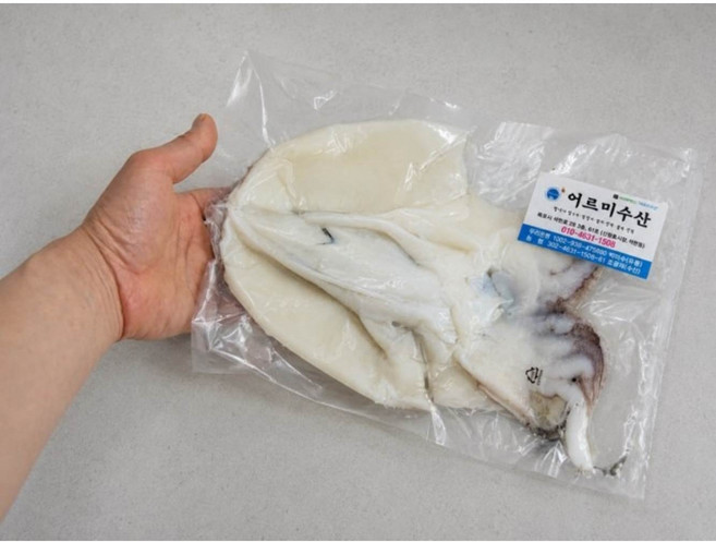 생물 손질 특대 갑오징어 1마리(400~500g내외) 진공포장, 1개, 손질 3마리