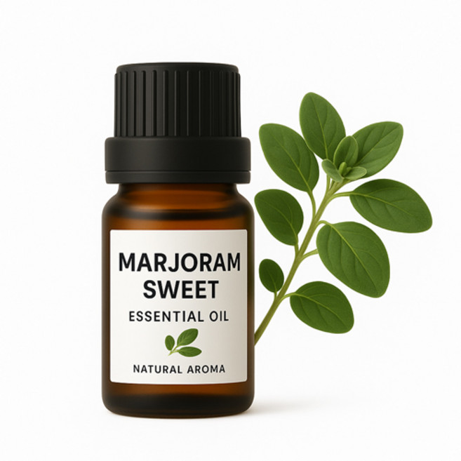 천연화장품 비누재료-마조람 에센셜오일(Majoram Sweet E.O), 10ml, 1개