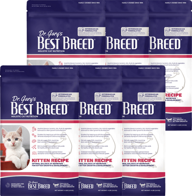 베스트브리드 고양이 홀리스틱 다이어트 기능성 사료, 키튼, 1.8kg, 6개