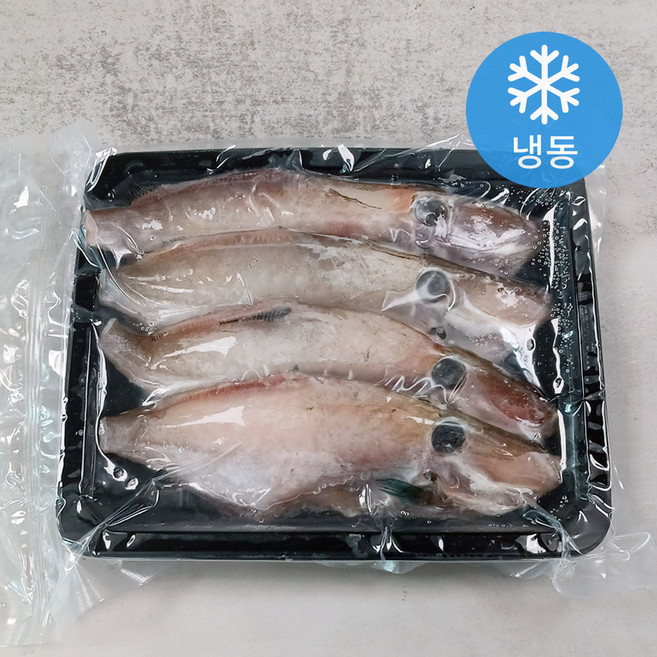 손질 취치 600g 이상 급냉 생선 구이용 조림용 매운탕용 객주리 말쥐치, 1개, 600g이상