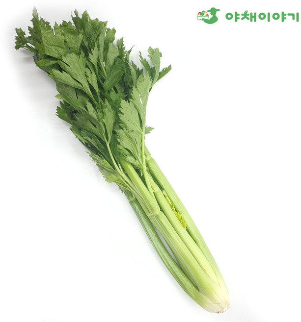 야채이야기 국내산 샐러리 1단, 1개, 700g
