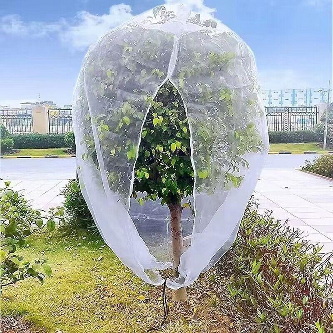 果樹防蟲網罩 防鳥防蟲瓜果網袋, 口袋型加厚60目防蟲網有拉鍊 無收口繩款,1.5米寬1.5米高