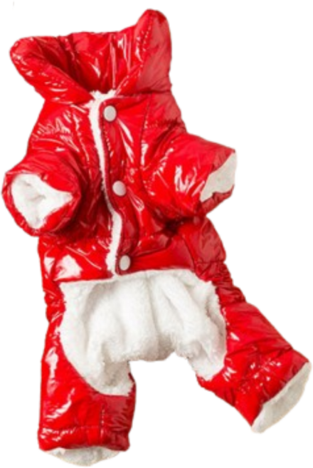 집안살림 반려견 강아지 올인원 전신 패딩 방한복, 1개, 레드