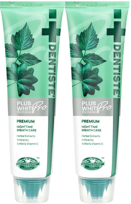 덴티스테 플러스 화이트 치약, 100g, 2개