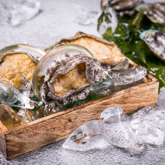 100% 국내산 뿔소라 통영 가리비 굴 당일수확, 참전복(중)500g, 1박스