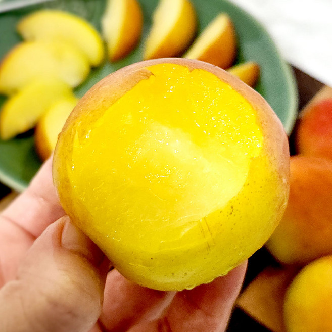 추희 가을 자두나무 묘목 3년생 결실주, 추희 자두나무 3년생 결실주