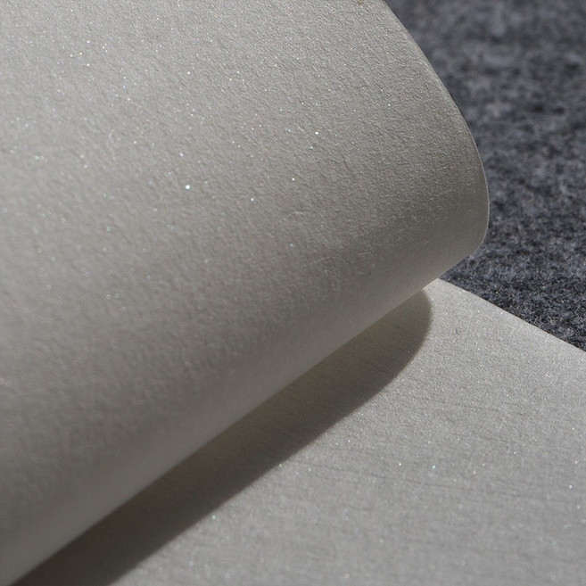 宣紙 純手工雁皮紙 半生熟宣紙 毛筆書法臨摹作品紙 四尺對開 安徽涇縣宣紙, 雁皮珍銀（白色）,樣紙19*29厘米（20張）, 1個