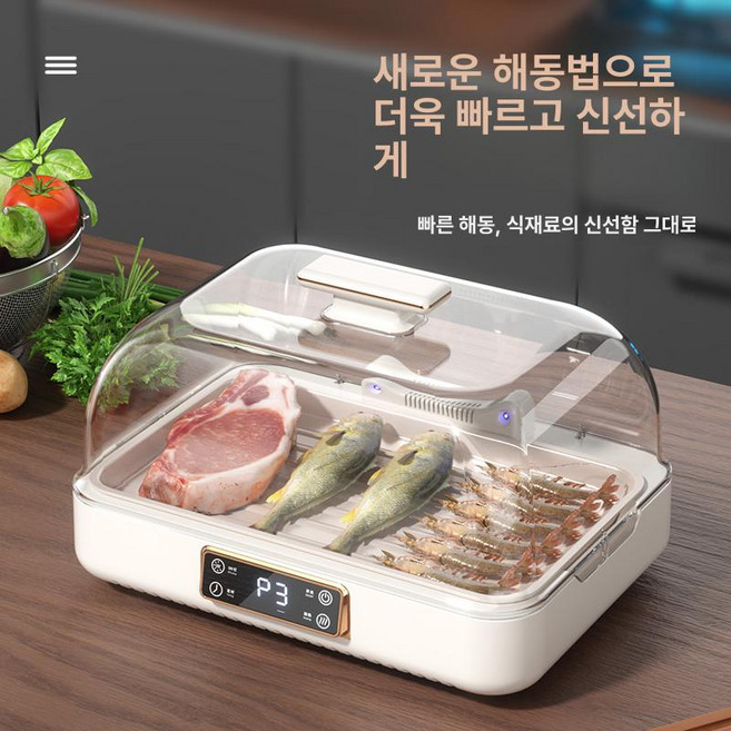 해동기 급속해동 생선 고기 식품 녹이기 스테이크, 화이트