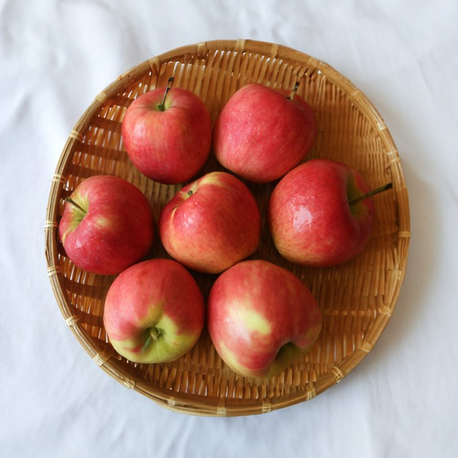 첫 출하 빨간 햇 사과 4.5KG (무조건 발송), 1개, (22~30과) 소과
