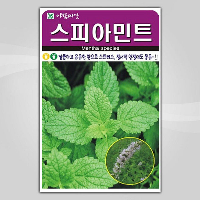 슬로시 허브씨앗 스피아민트 500립