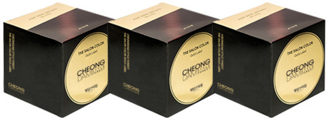 청담스타일 포레스트 더 살롱 컬러 골드라벨 염모제, 와인브라운, 3개