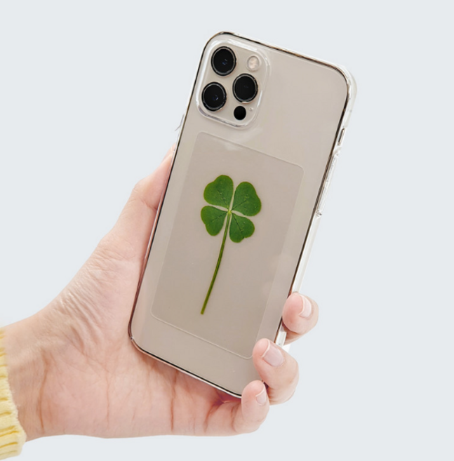 네잎클로버 투명 코팅 카드 1장 크리스마스카드 새해 진짜 책갈피 생화 행운부적 감성 선물, 1개 봉투미포함