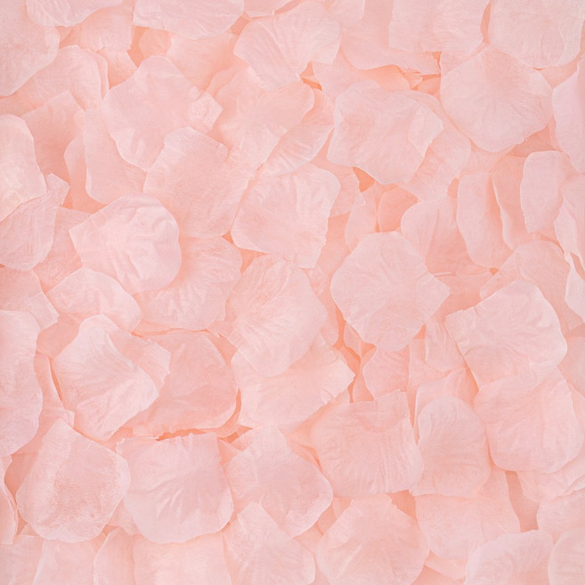 아트포유 장미 꽃잎 컨페티 플라워샤워 웨딩 촬영 꽃가루, 400개, 라이트 레드